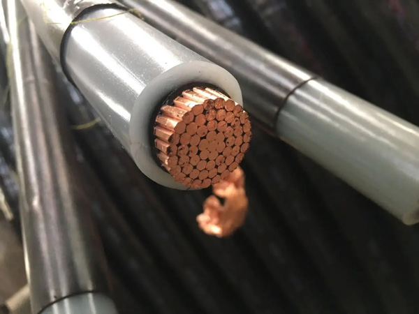 6243d4538ec55.jpg 01.jpg